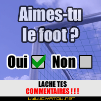 aimes-tu le foot